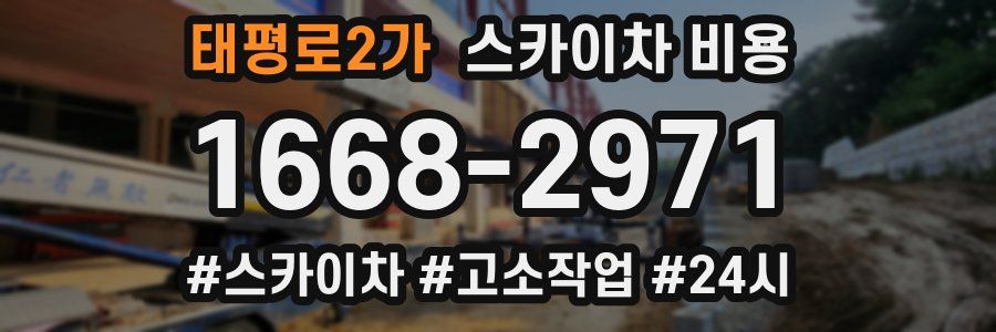 태평로2가 스카이차 비용