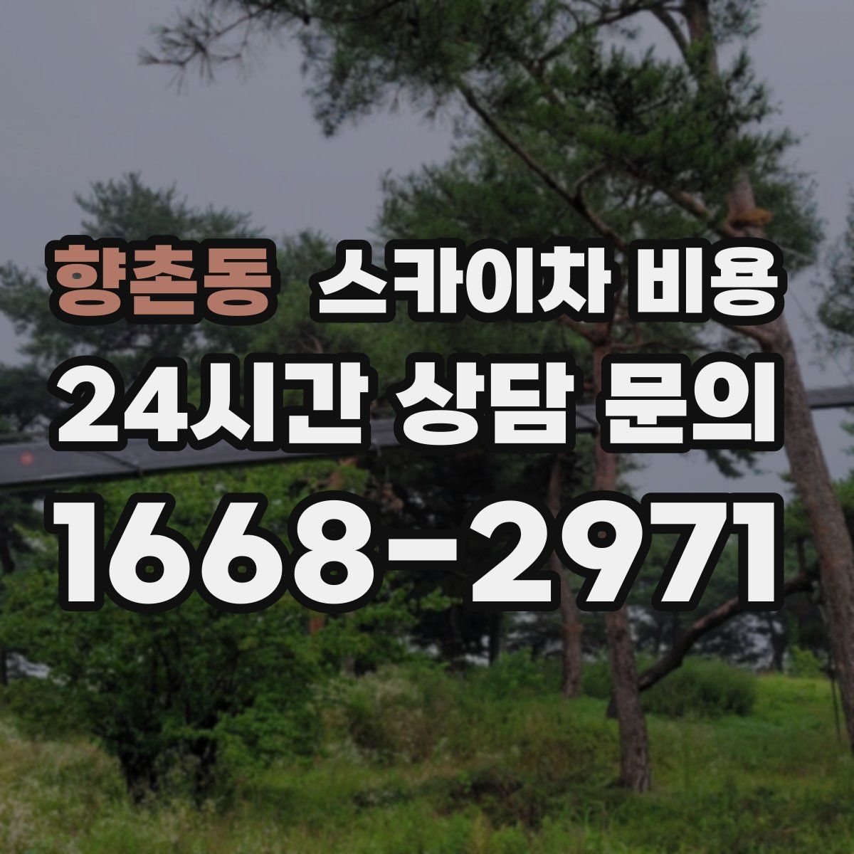 향촌동 스카이차 비용