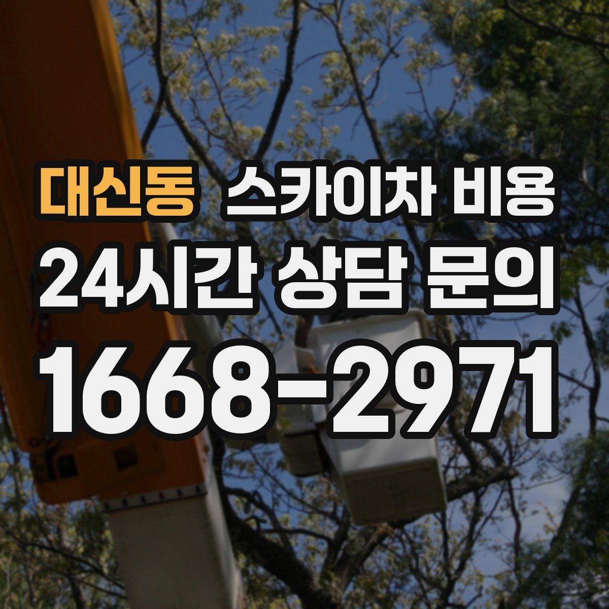 대신동 스카이차 비용