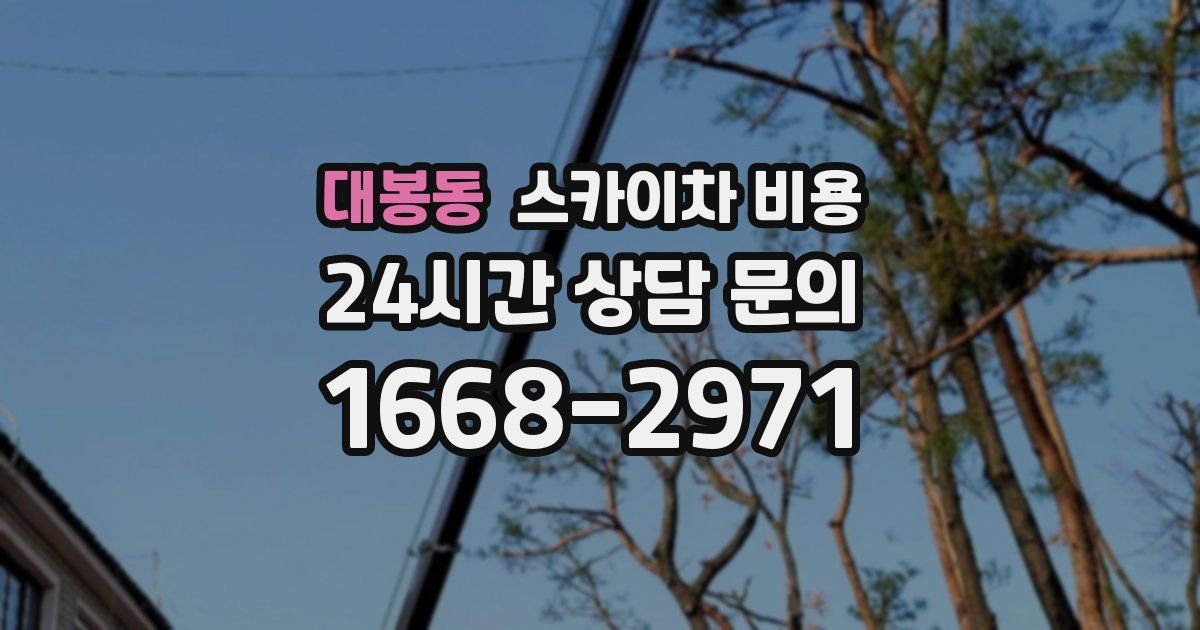 대봉동 스카이차 비용