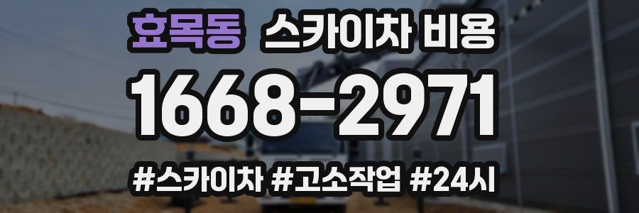 효목동 스카이차 비용