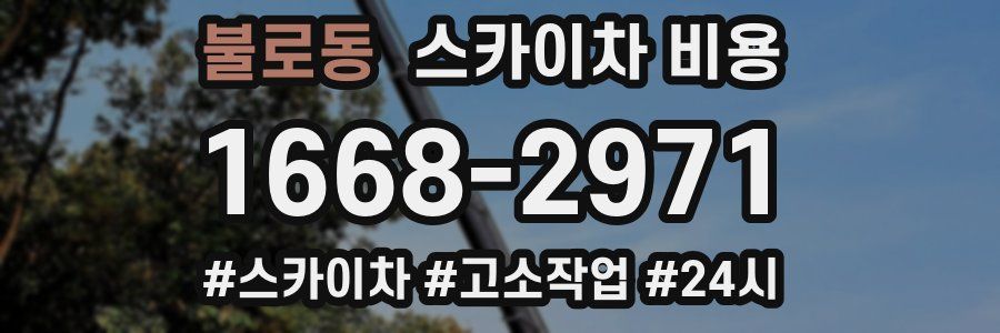 불로동 스카이차 비용