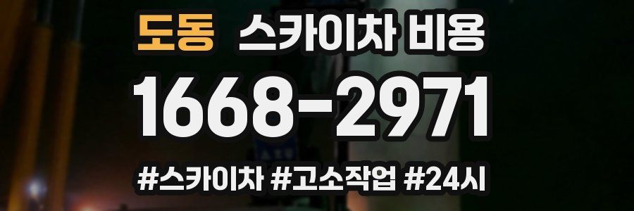 도동 스카이차 비용