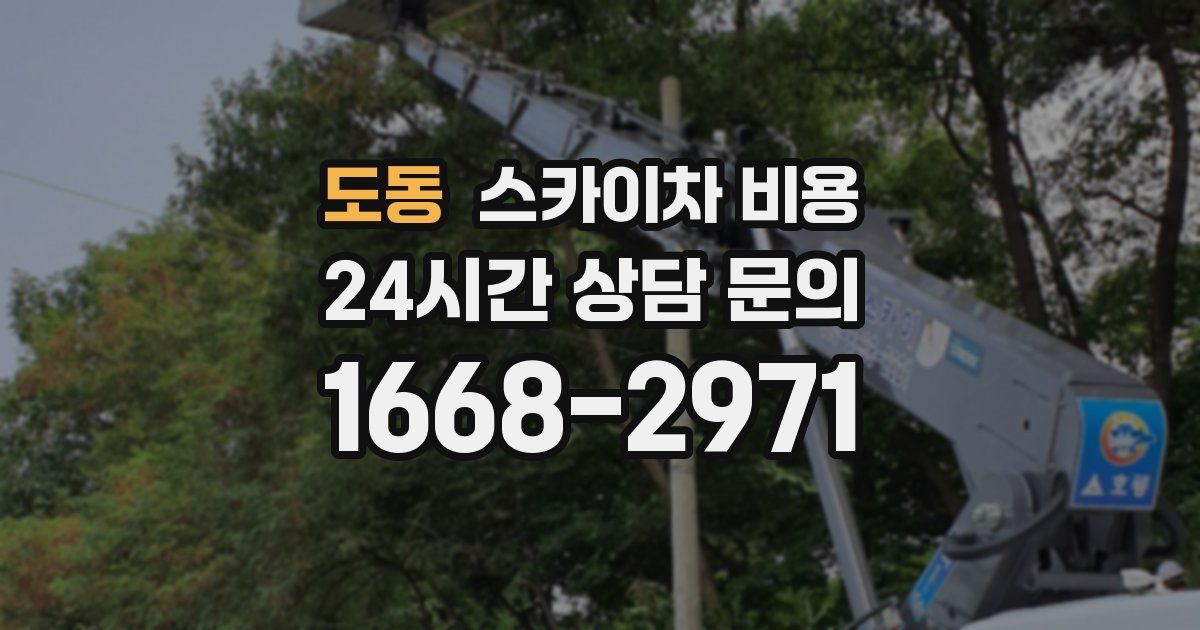 도동 스카이차 비용