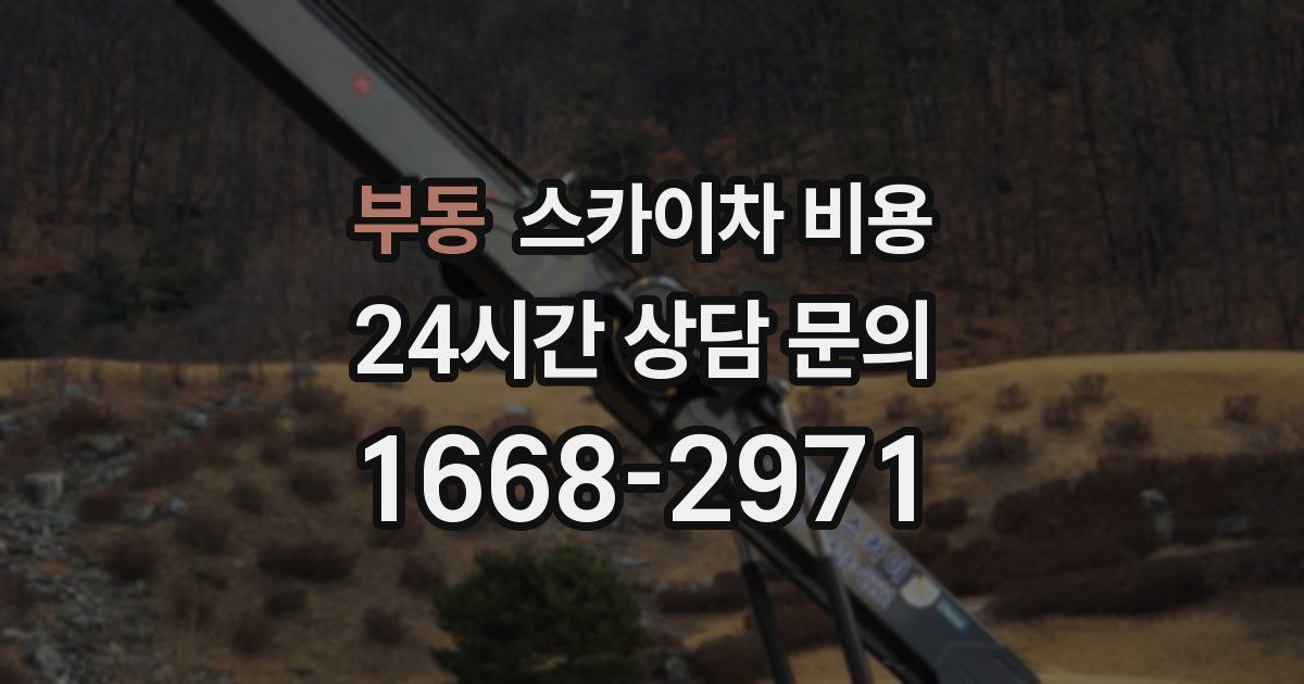 부동 스카이차 비용