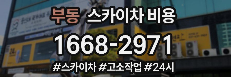 부동 스카이차 비용