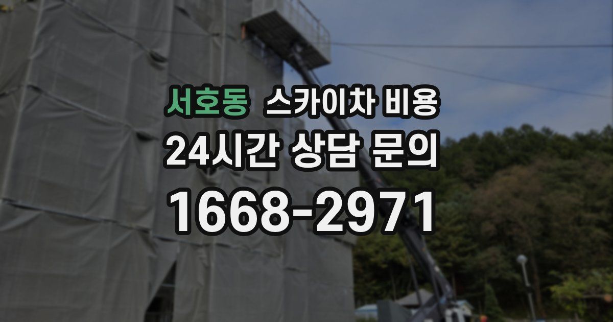 서호동 스카이차 비용