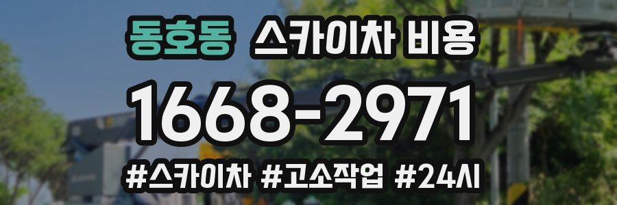 동호동 스카이차 비용