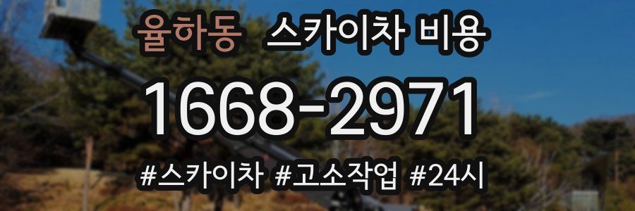 율하동 스카이차 비용