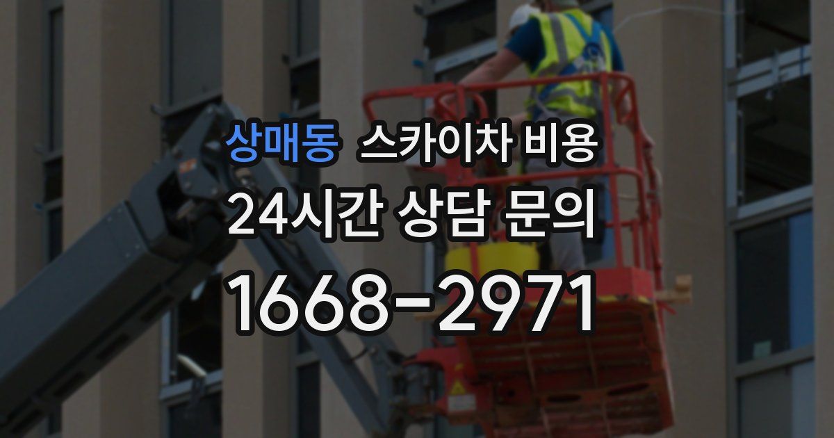 상매동 스카이차 비용