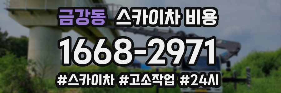 금강동 스카이차 비용