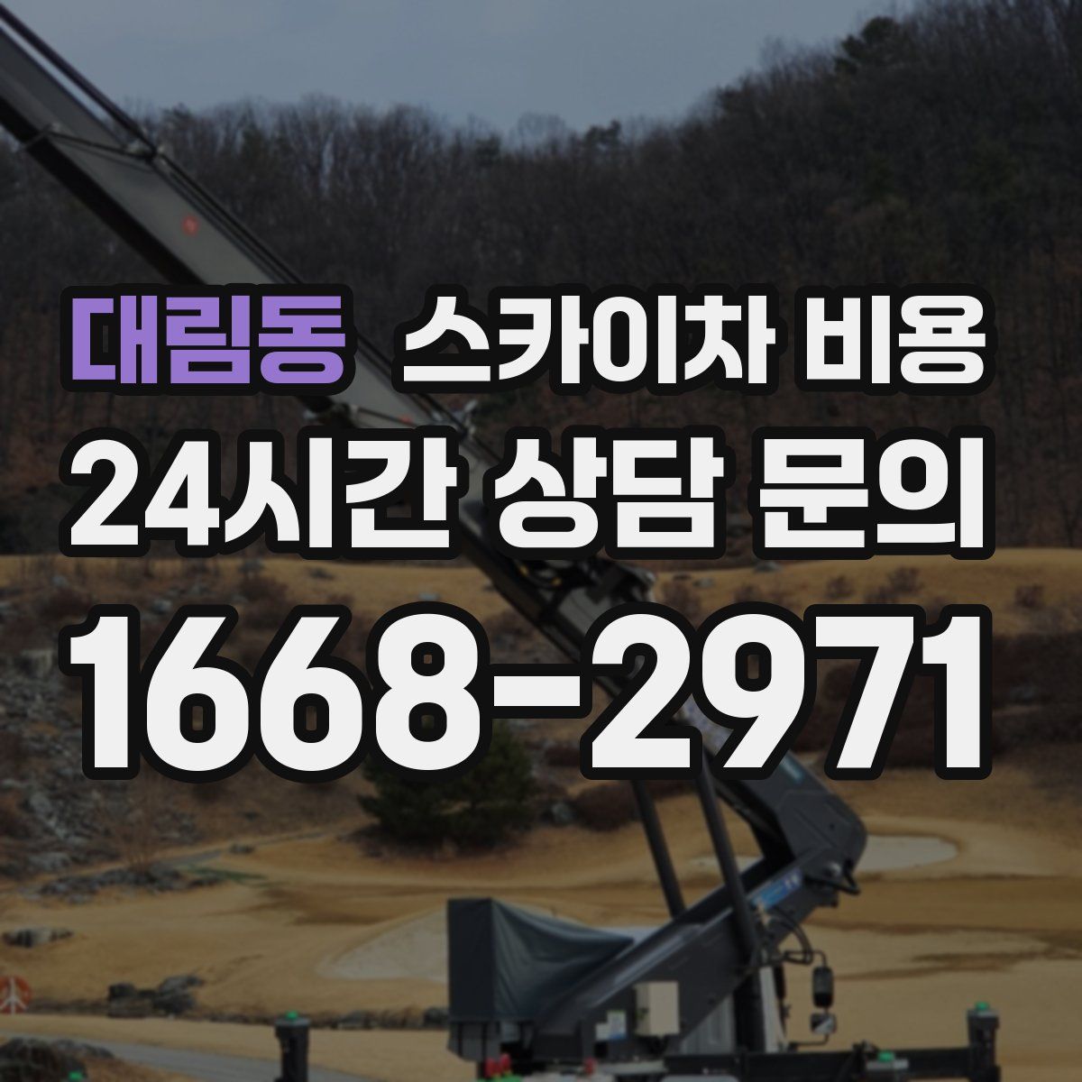 대림동 스카이차 비용