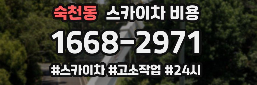 숙천동 스카이차 비용