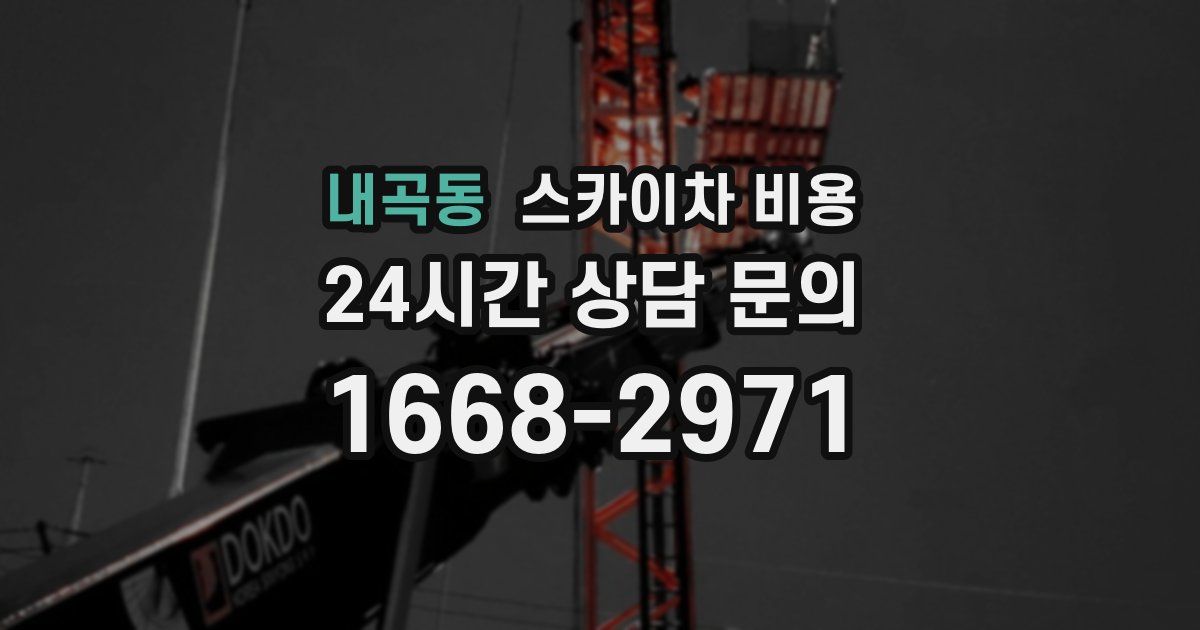 내곡동 스카이차 비용