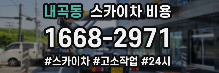 내곡동 스카이차 비용