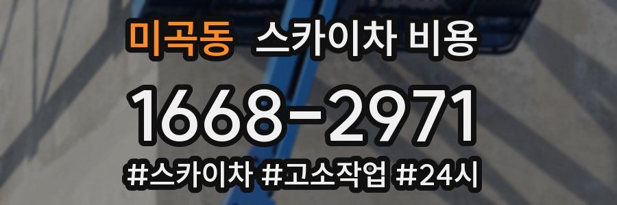 미곡동 스카이차 비용