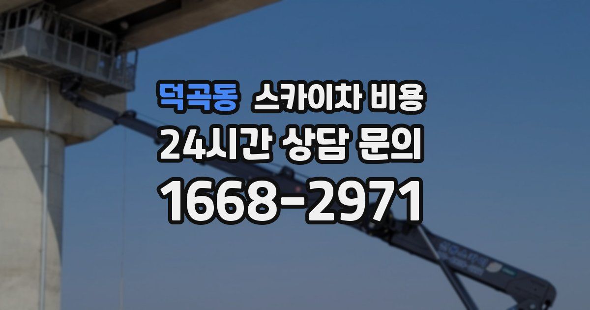 덕곡동 스카이차 비용