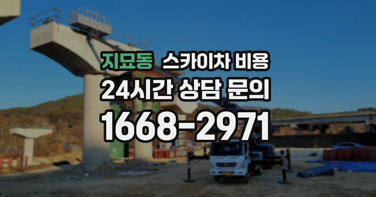 지묘동 스카이차 비용