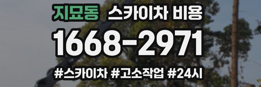 지묘동 스카이차 비용