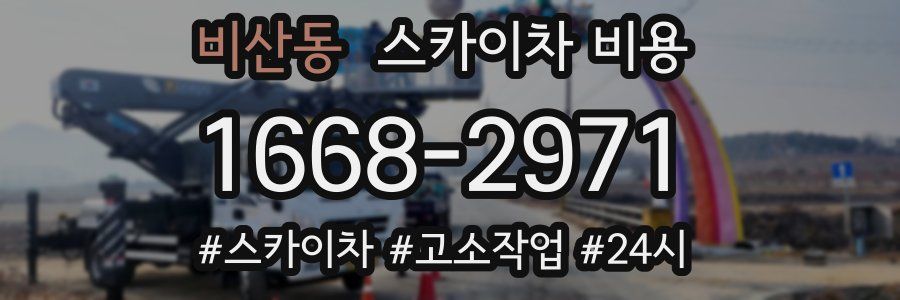 비산동 스카이차 비용