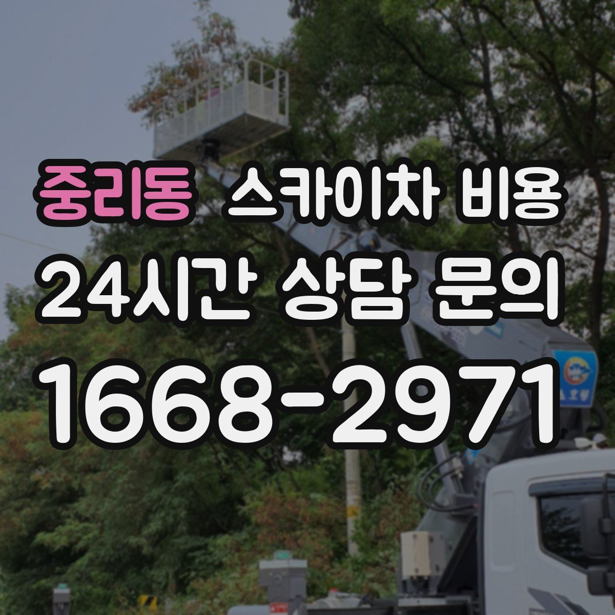 중리동 스카이차 비용