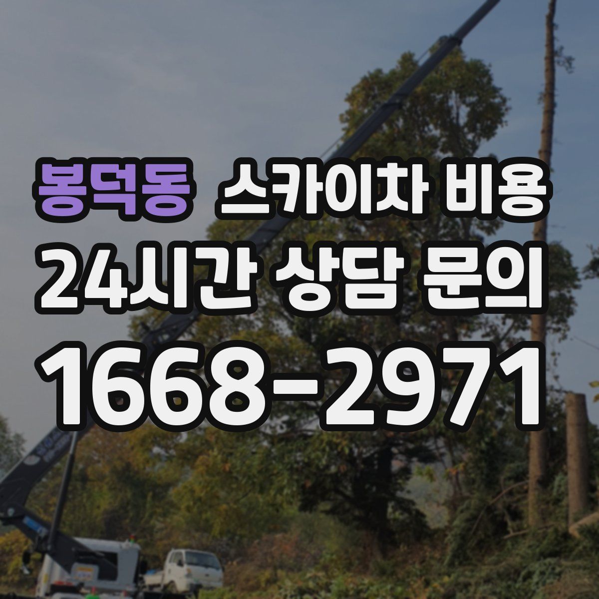 봉덕동 스카이차 비용