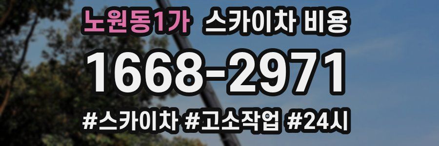 노원동1가 스카이차 비용
