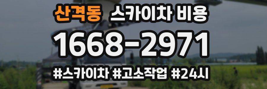 산격동 스카이차 비용