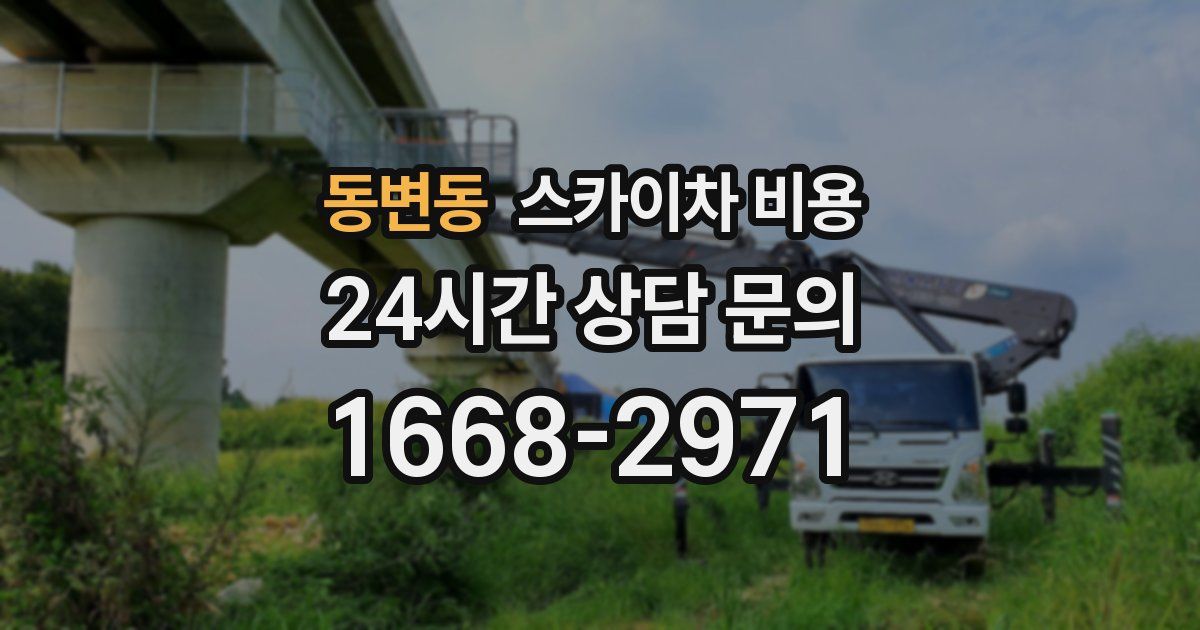 동변동 스카이차 비용