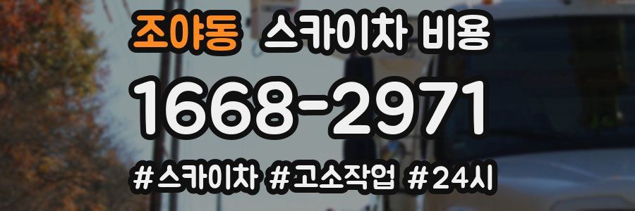 조야동 스카이차 비용