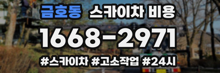 금호동 스카이차 비용