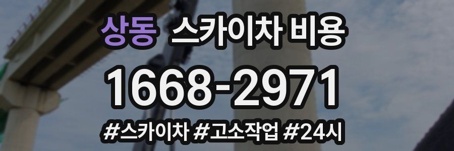 상동 스카이차 비용