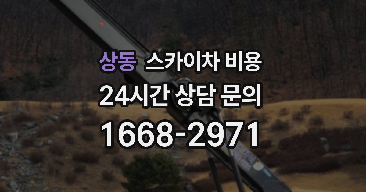 상동 스카이차 비용