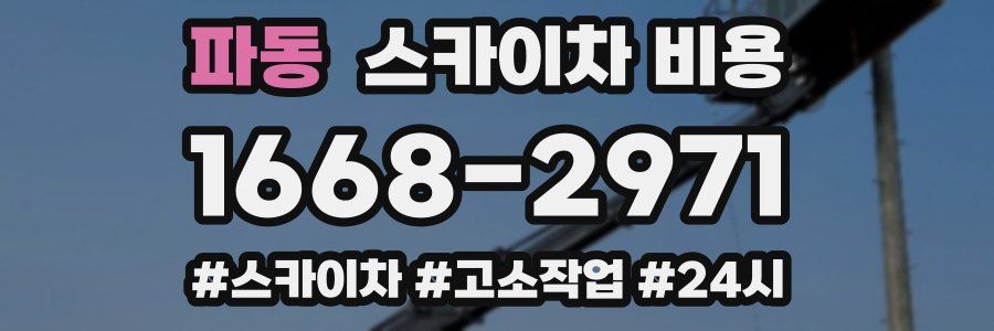 파동 스카이차 비용