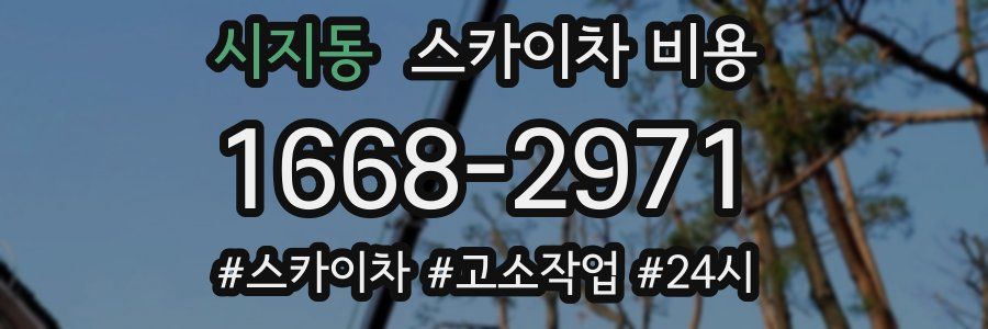 시지동 스카이차 비용