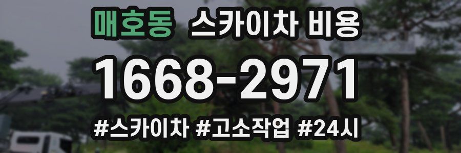 매호동 스카이차 비용