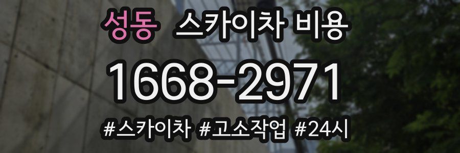 성동 스카이차 비용