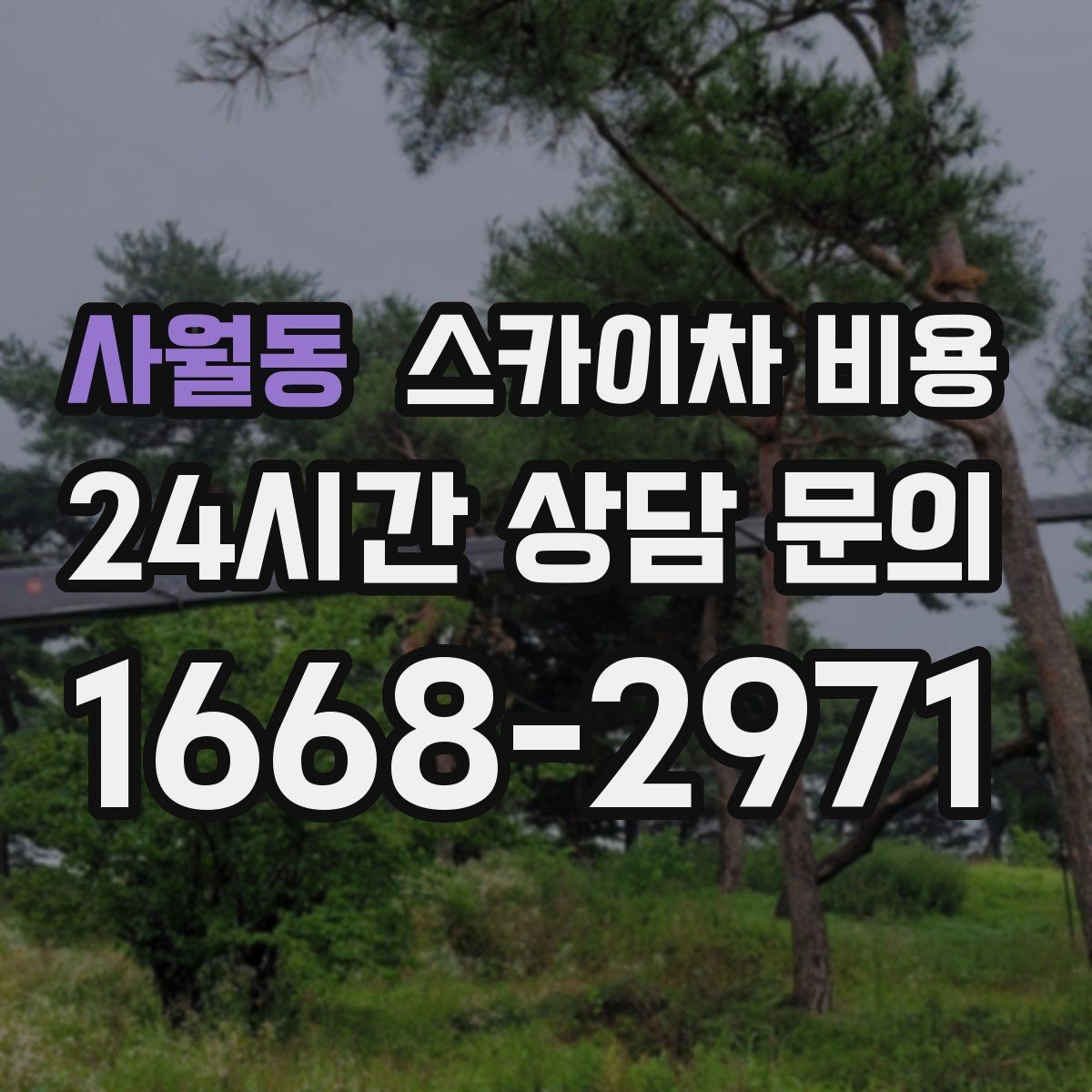 사월동 스카이차 비용 처음 이용해도 실수 줄이는 체크리스트
