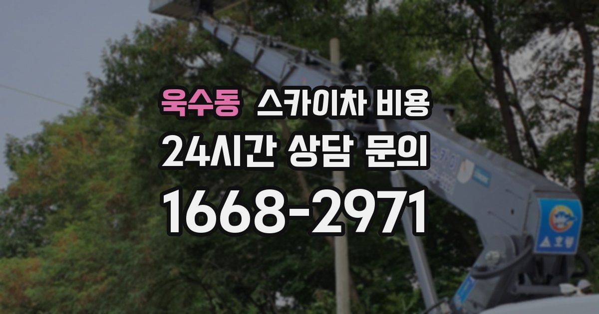 욱수동 스카이차 비용