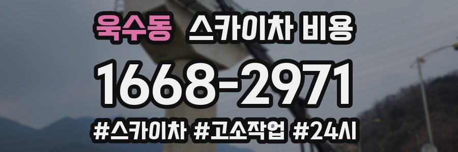 욱수동 스카이차 비용