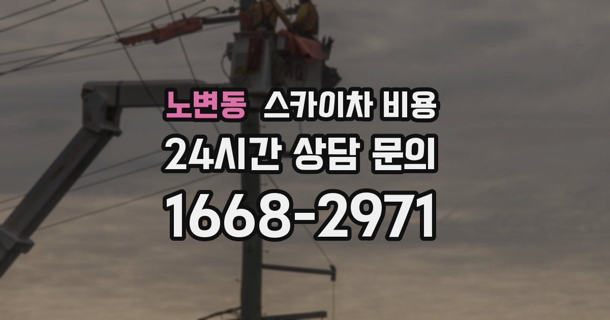 노변동 스카이차 비용