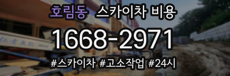 호림동 스카이차 비용