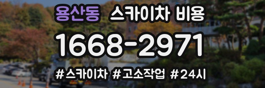 용산동 스카이차 비용