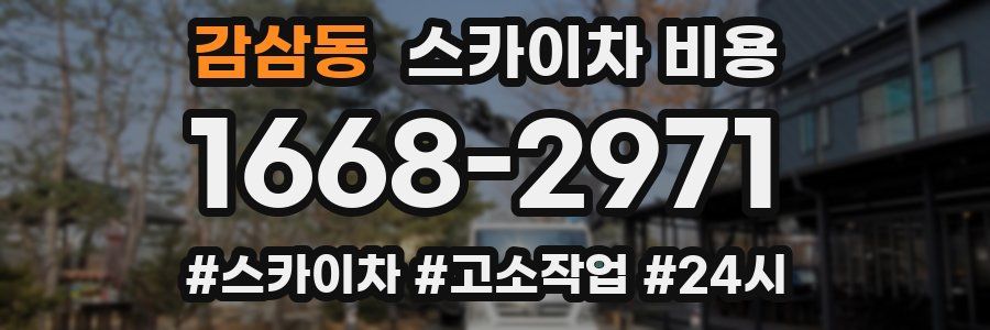 감삼동 스카이차 비용