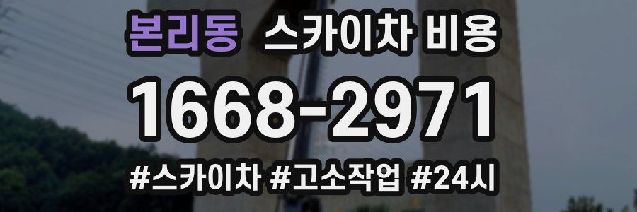 본리동 스카이차 비용