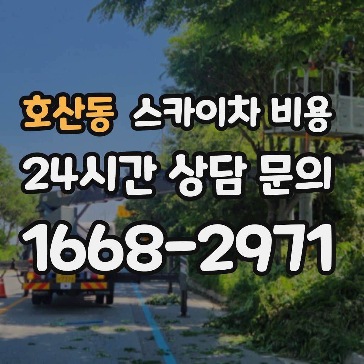 호산동 스카이차 비용