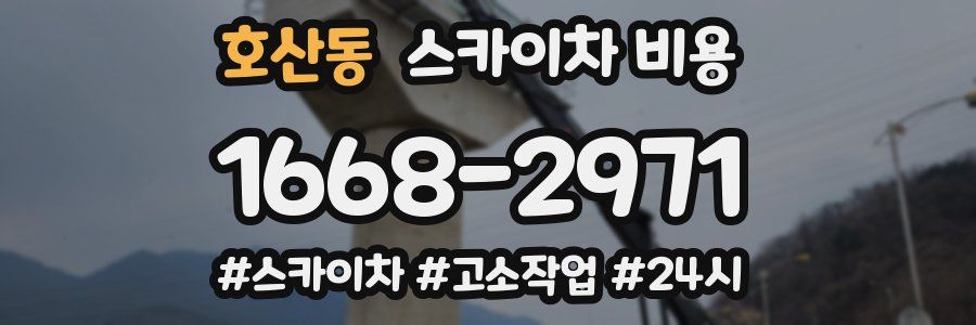 호산동 스카이차 비용