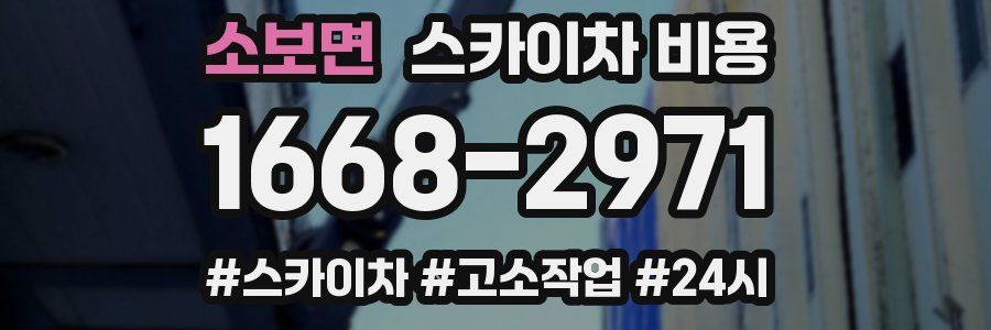 소보면 스카이차 비용