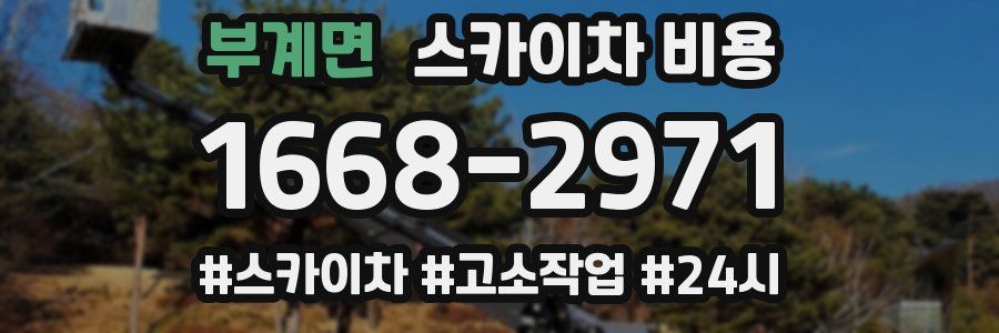 부계면 스카이차 비용