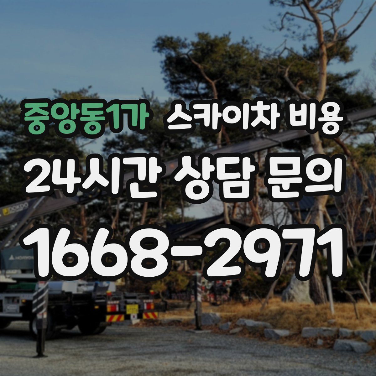 중앙동1가 스카이차 비용